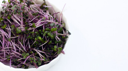 Organic red cabbage sprouts on white background.