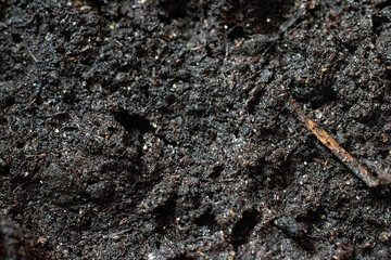 Textured fertile wet soil as a background. Gardening season