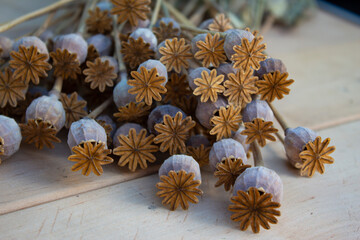 Ripe dry poppy fruits with stems lie on the table. Spices in cooking. Fruit containing a narcotic enzyme is prohibited.