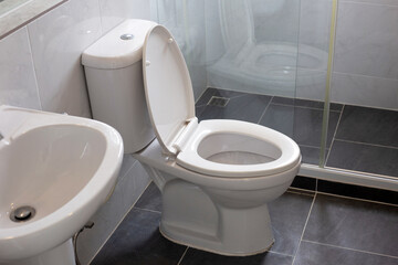 White toilet bowl on floor