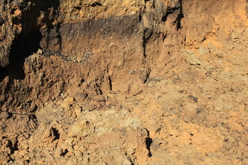 掘られて帯状の層が露出している地面