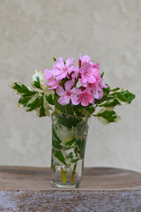 Bright pink rhododendron with light green leaves in a glass of water with a light background
