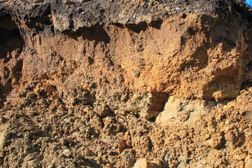 掘られて帯状の層が露出している地面