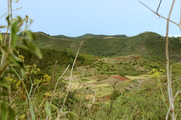 Paisaje en la naturaleza en el amanecer.