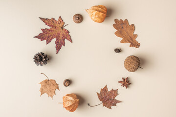Autumn composition. Frame made of dry leaves, flowers, acorn, pine cone, anise star on beige background. Flat lay