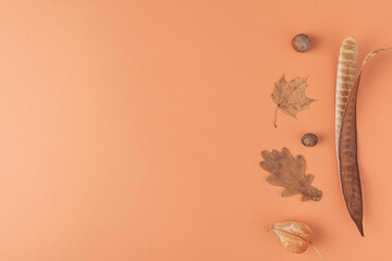 Autumn composition made of dry leaves, flowers, acorn, nuts on orange background. Flat lay, Minimal...