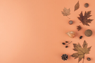 Autumn monochrome background made of dry leaves, flowers, acorn, nuts on orange background. Flat lay