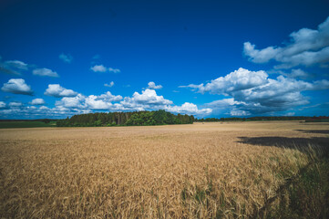 Obraz premium Celle, 15.08.2022