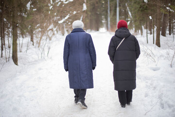 Women walk through park in winter. Women are walking in park. People from behind in warm clothes.