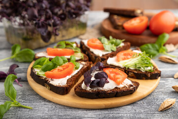 Fototapeta na wymiar Grain rye bread sandwiches with cream cheese, tomatoes and basil microgreen on gray. side view, selective focus.