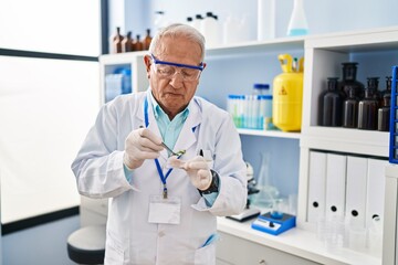 Senior man wearing scientist uniform holding sample plant with tweezers at laboratory