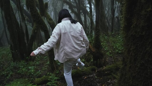 Woman walk in rainforests on the Canarian island of La Gomera. Primeval forest with very rare prehistoric plants. Go everywhere