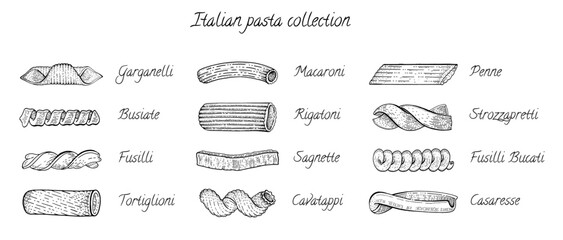 Italian pasta types in sketch style. Vector hand drawn food icons set of macaroni different shapes, penne, fusilli, rigatoni and cavatappi. Engraving collection of Italy pasta - obrazy, fototapety, plakaty