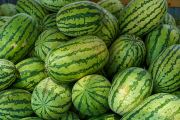Fruit background. Lots Of Big Sweet Green Organic Ripe Watermelons