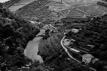 View of the Douro Valley, Porto, Portugal. Black and white photo.