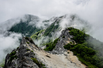 夏山の風景