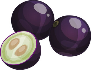Exotic tropical fruit Jaboticaba or jabuticaba