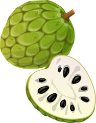 Tropical fruit cherimoya or custard apple isolated