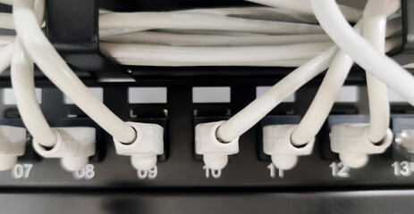 Fototapeta na wymiar Ethernet Switch device full of wires