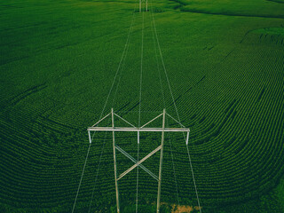 Powerlines over farms in summer