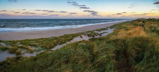Zelfklevend Fotobehang Panorama von der Dünenlandschaft an der dänischen Nordseeküste am Morgen © Leinemeister