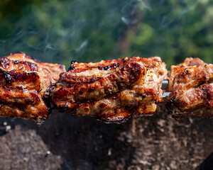 shish kebab on the grill