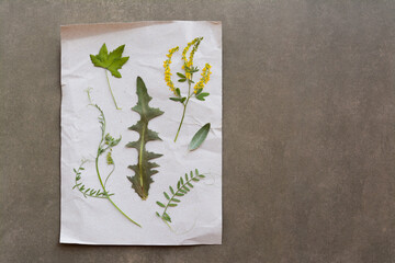 Sheet of paper with dried flowers and leaves on grey background, top view. Space for text
