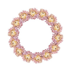 Watercolor boho wreath isolated on white background. Circle frame border template for design. Dry flower pink chrysanthemum for wedding. Hand-drawn summer autumn plant. Clipart with copy space