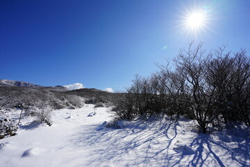 snowy mountain and sun