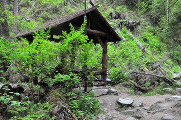 A small wooden gazebo on the bank of a small mountain river flowing through the forest.