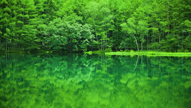 長野県茅野市　新緑の御射鹿池