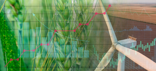 Double exposure of green wheat and windmill for electric power generation in field. Green...