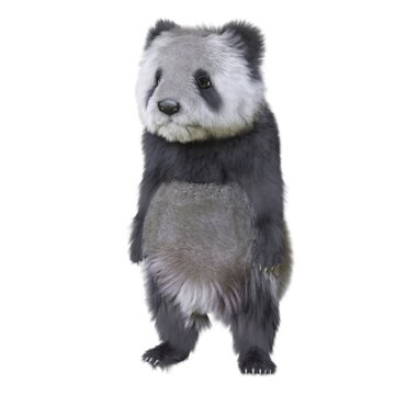 Panda cub 3d illustration isolated white background