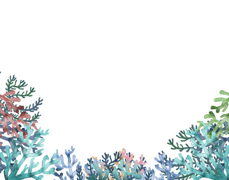 under ocean life element with watercolor painted , Coral reef with transparent background