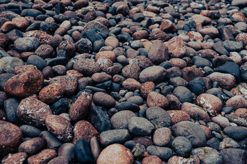 Beach rocks