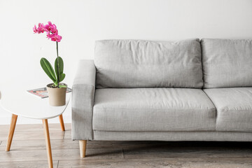Sofa and beautiful orchid flower on table near white wall