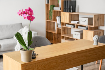 Beautiful orchid flower on wooden table in light room