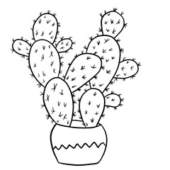 Cactus succulent in a decorated pot in black line outline cartoon style. Mexican desert cacti, houseplants flowers plant for interrior design in simple minimalist design, plant lady gift