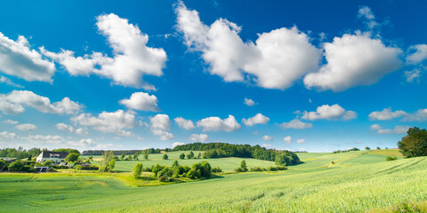 Fototapeta na wymiar panorama of a green summer field on a sunny day and clouds on blue sky