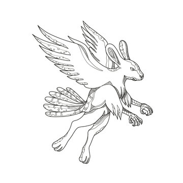 Skvader Flying Doodle