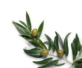Green olives with leaves on white background