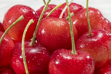 美味しいさくらんぼ