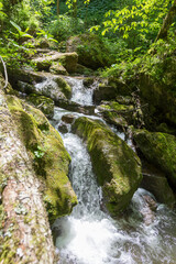 Fototapeta premium Mountain river, sources in the canyon of the stone bed, panorama of the area, summer season, in nature