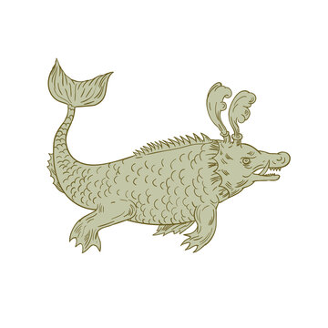 Ancient Sea Monster Drawing