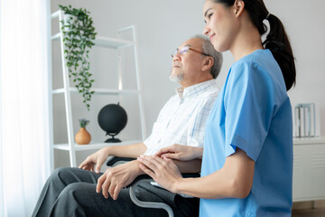 Caring nurse and a contented senior man in a wheel chair at home, nursing house. Medical for...