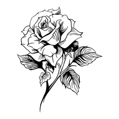 Hand drawing style of rose icon vector. Suitable for plants and flowers sign or symbol.