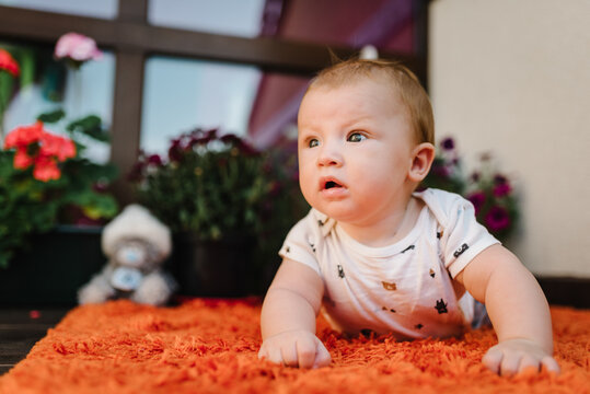Baby lying on tummy with toy bear on floor. Portrait of baby a crawling on blanket. Adorable baby boy in patio on terrace. Newborn child playing.