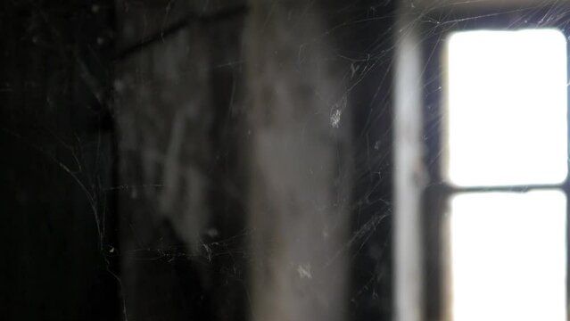 Window in the old house attic, spider web, old traditional wooden residential house with brick walls, mystic mood, Halloween concept, handheld closeup shot