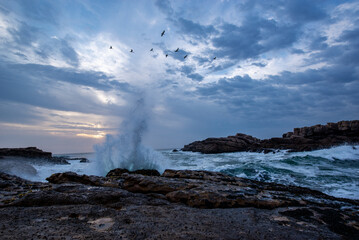 Exploding wave, birds and clouds