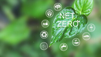 Net Zero. The word net zero on leaf with green blur background with icon.  Zero net greenhouse gas...